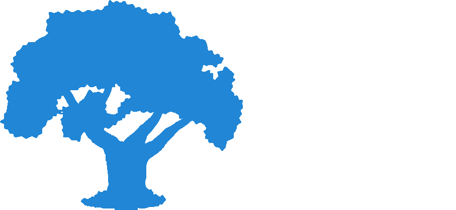 Soul Solutions